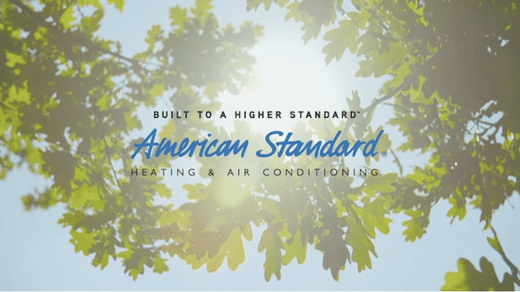 Tree Leaves with sky in the Background