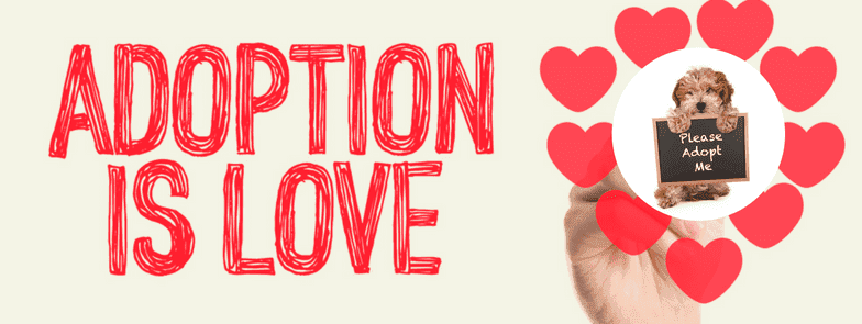 Adoption is love Adoption is love