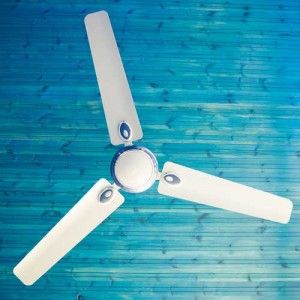 Ceiling fan Ceiling fan