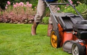 Person pushing a lawnmower