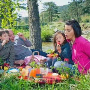 Family eating  picnic